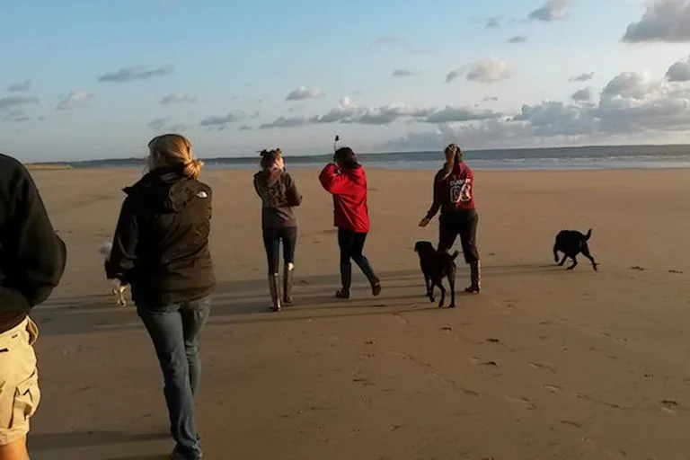 Dog friendly beaches all year round