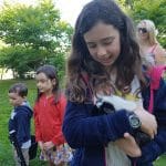 Family farm pictures of children stroking the guinea pigs at Lower Campscott.
