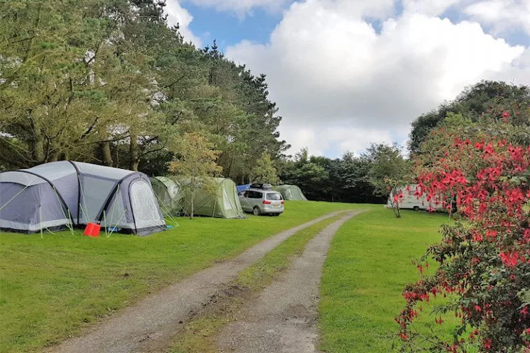 Farm campsite near Woolacombe