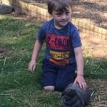 Family farm pictures of a young boy in a blue shirt stroking a Rabbit at Lower Campscott.