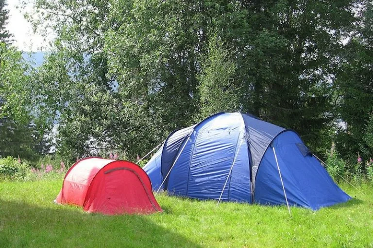 Green camping near Lee Bay