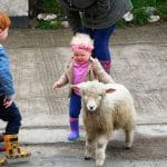 Family farm pictures of three young children playing with a small Devon Longwool Lamb.
