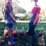 Family farm pictures of two children tending to the chickens at Lower Campscott.