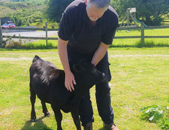 Farm holidays in North Devon