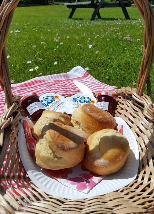 A picnic basket in a green field, with the makings of a Devon cream tea on a paper plate.