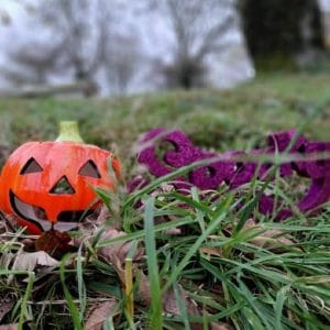 Read more about the article Halloween in North Devon