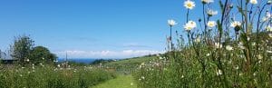 Read more about the article Walking the South West Coast Path – National Walking Month at Lower Campscott