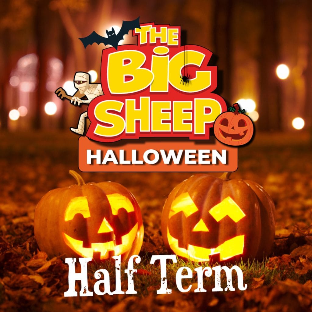 Advertisement for The Big Sheep's Halloween event - two lit up pumpkins in the foreground.