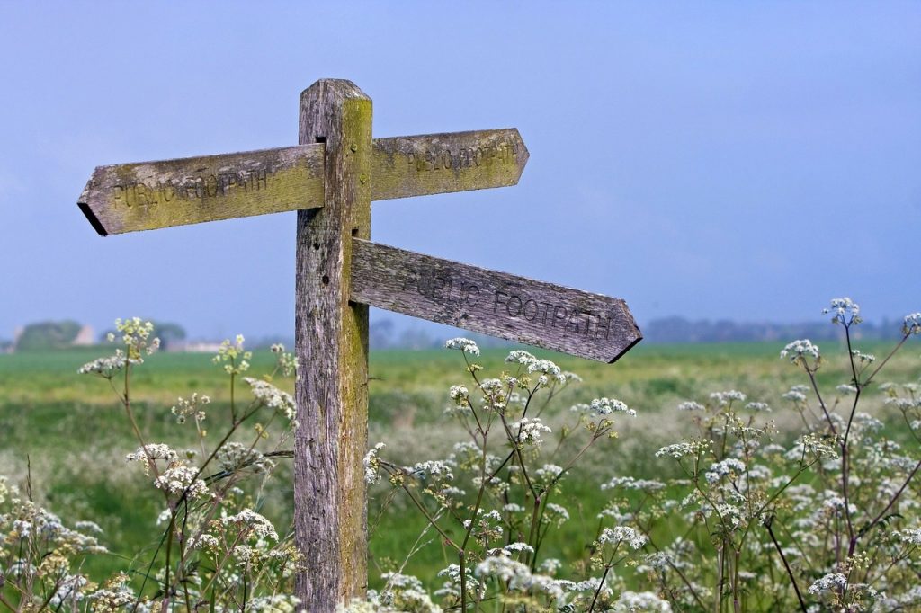 A wooden footpath sign sits between heath and a blue sky.